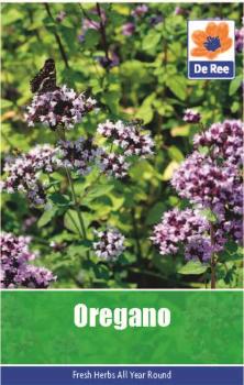 Oregano