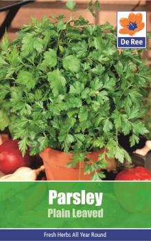 Parsley Plain Leaved