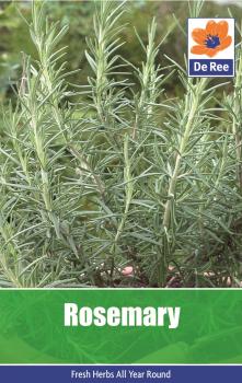 Rosemary