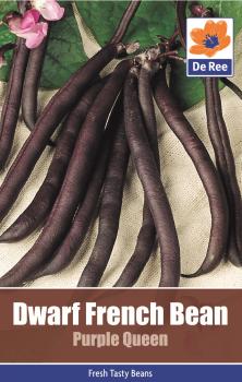 Dwarf French Bean Purple Queen