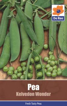 Pea Kelvedon Wonder