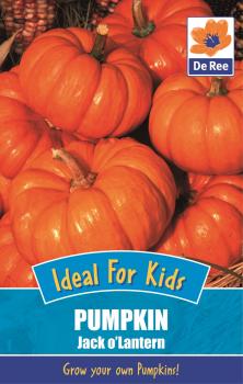 Kids Pumpkin Jack O'Lantern
