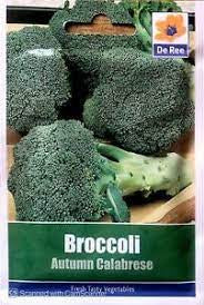 Broccoli Autumn Calabrese