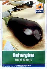 Aubergine