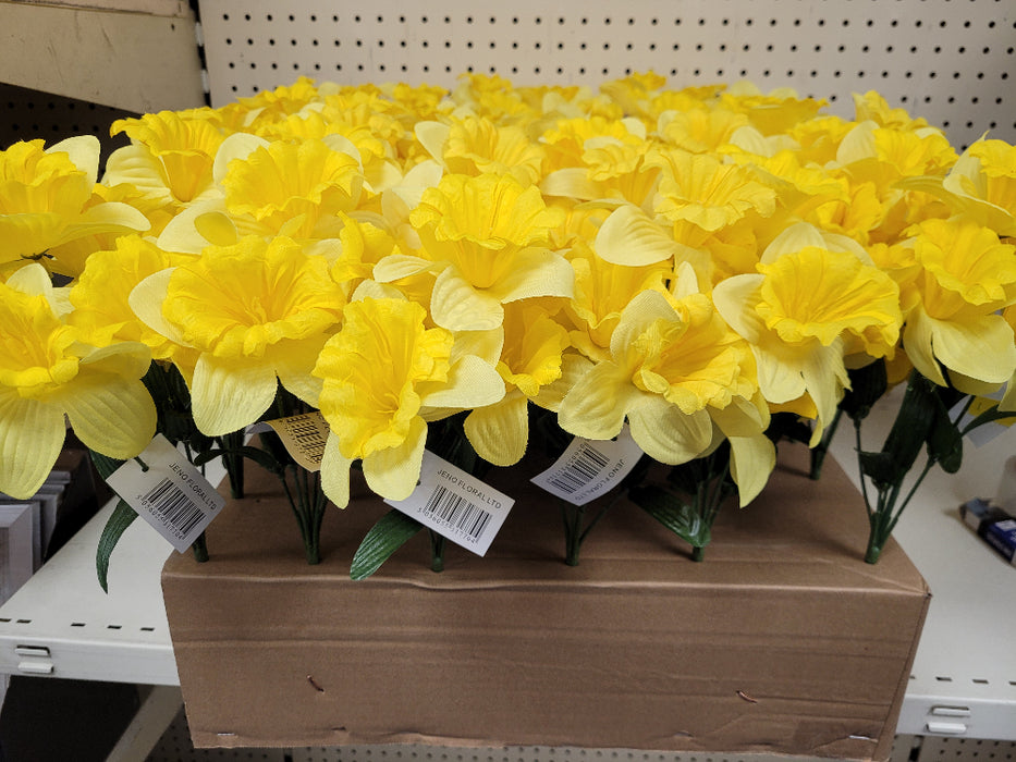 Daffodil Bush - 5 for £10