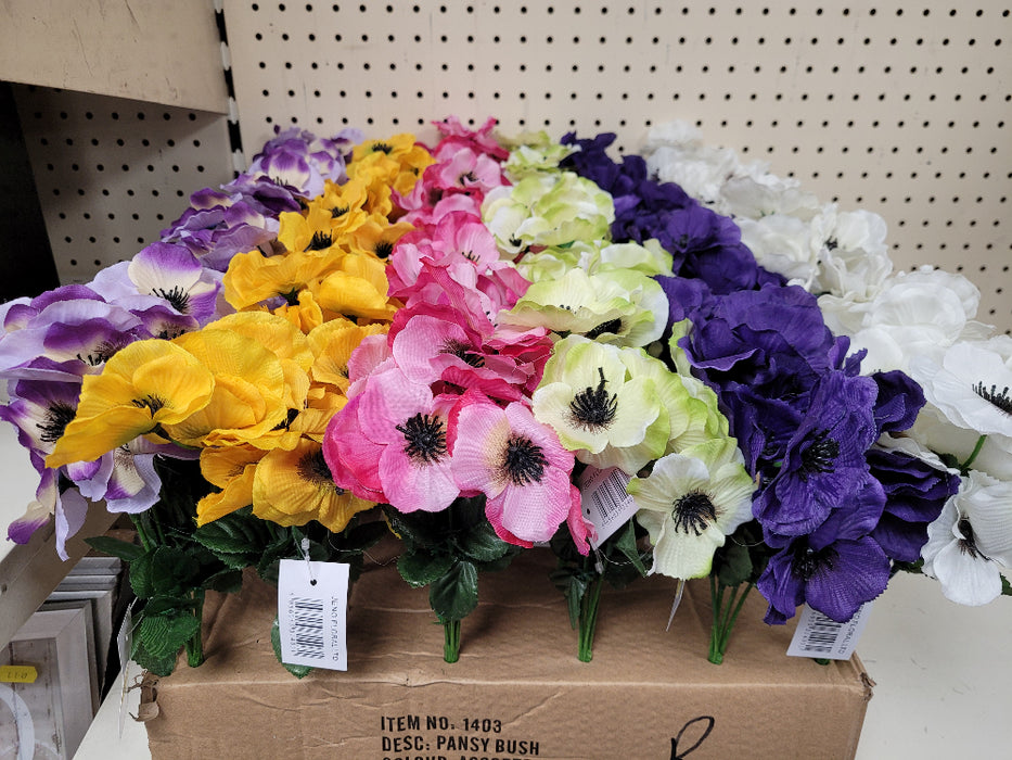 Pansy Bush - 5 for £10