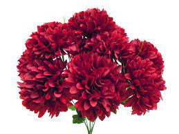 Ball Chrysanthemums Bush - 5 for £10